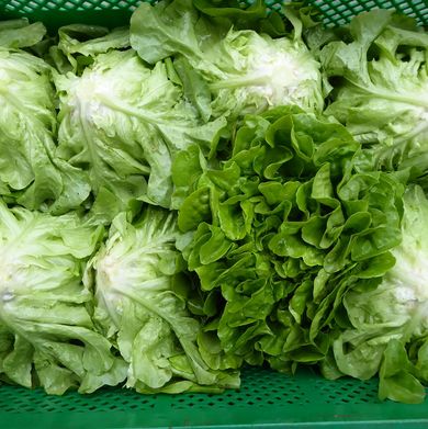 grüne Salate